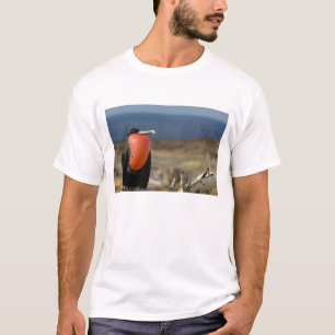 Ecuador, Galapagos, Genovesa Island. Prince T-Shirt