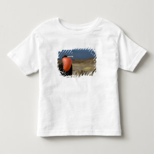 Ecuador, Galapagos, Genovesa Island. Prince Toddler T-shirt