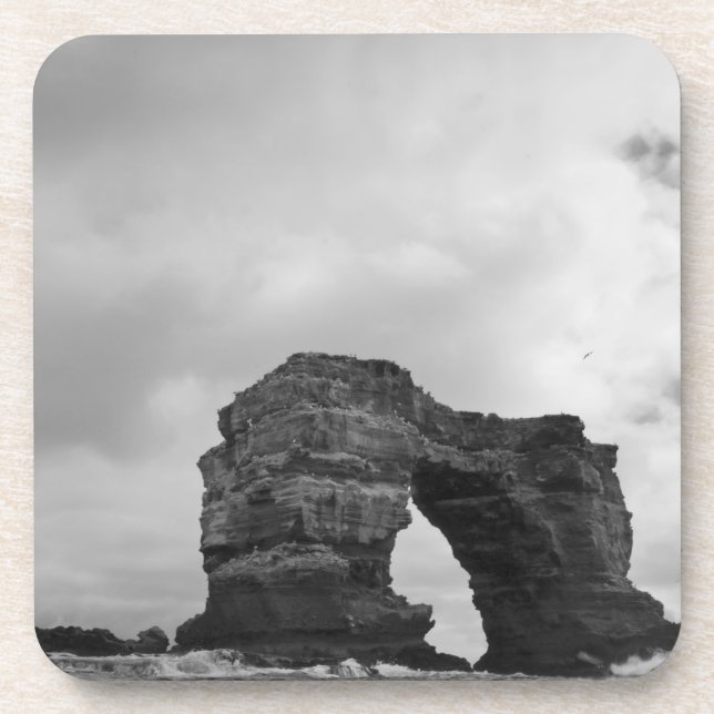 Ecuador, Galapagos Islands, Darwin Island, Waves Coaster (Front)