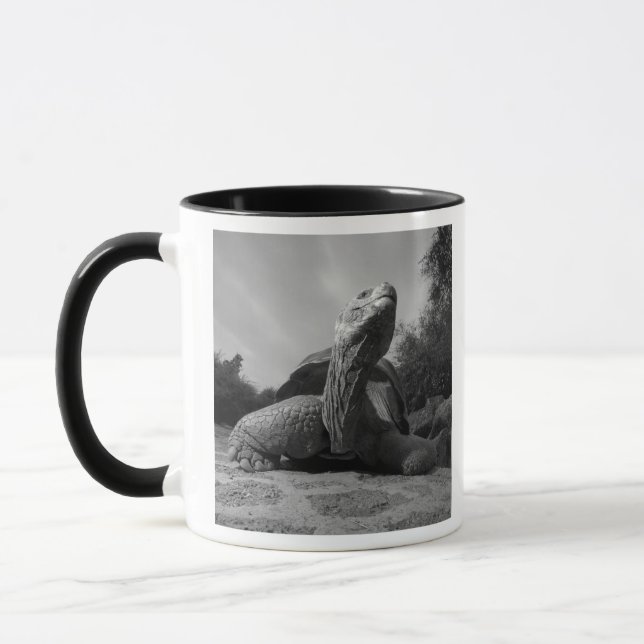 Ecuador, Galapagos Islands National Park, Santa Mug (Left)