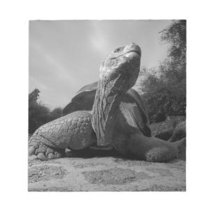 Ecuador, Galapagos Islands National Park, Santa Notepad