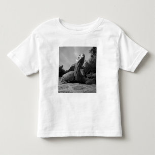 Ecuador, Galapagos Islands National Park, Santa Toddler T-shirt