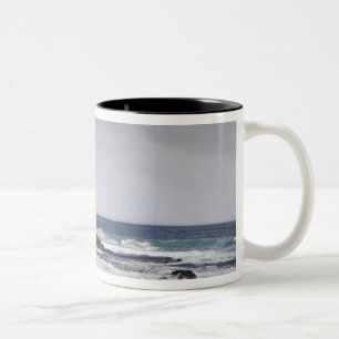 Ecuador, Galapagos, Santiago aka James). Two-Tone Coffee Mug