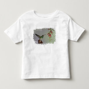 Ecuador, Tandayapa Bird Lodge. Rufous-tailed Toddler T-shirt