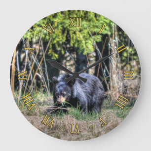 Écub d'ours noir sauvage et horloge photo de la fa
