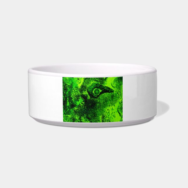 Écuelle à la recherche de vert (Devant)