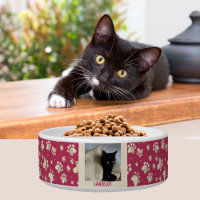 Amoureux de les chats Empreintes de pattes Nom pho