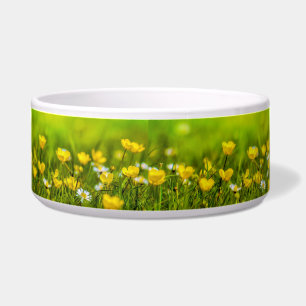 Écuelle Arrière - plan des fleurs de printemps
