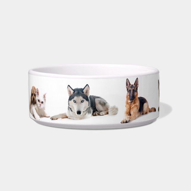 Écuelle Beaux Chiens (Devant)