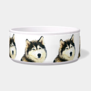 Écuelle Belle botte de chien - Husky Sibérien