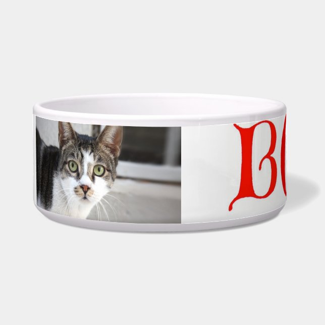 Écuelle Bol à chat (Devant)