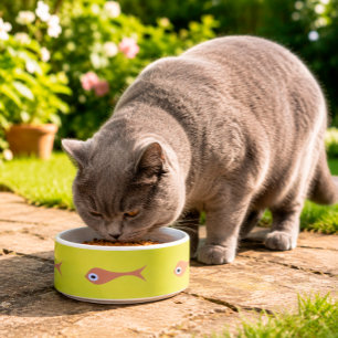 Écuelle Bol à nourriture pour animaux drôle Chat aux yeux