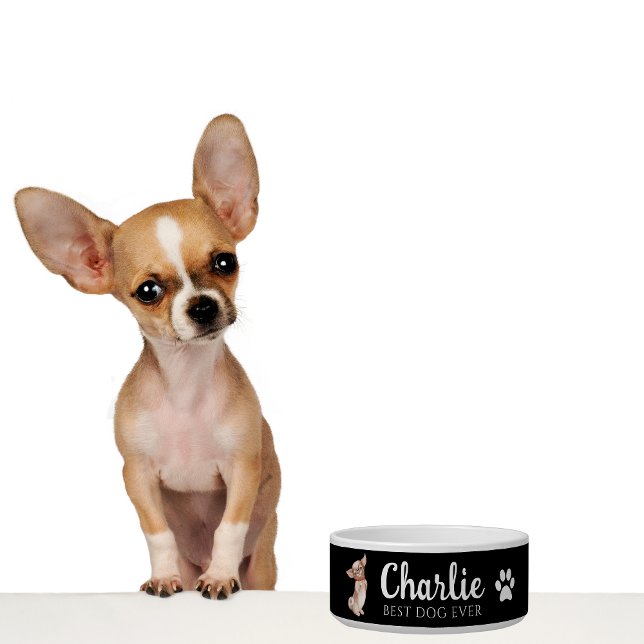Écuelle Bol Chihuahua (Créateur téléchargé)
