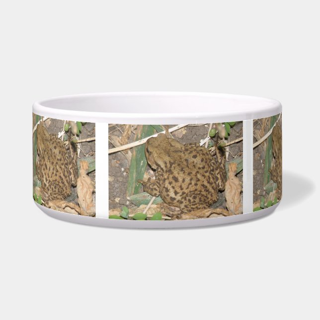 Écuelle Bol commun européen de crapaud (Gauche)