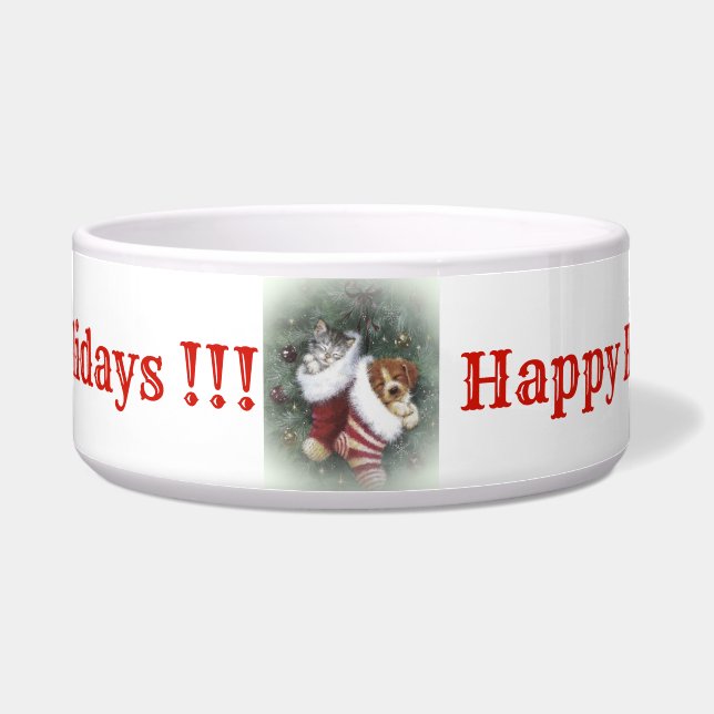 Écuelle Bol de chat et de chien (Devant)