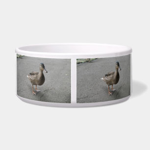 Écuelle Bol de chien de canard à pattes amusant