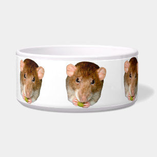 Écuelle Bol de chien de rat affamé