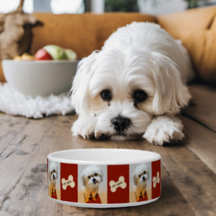 Écuelle Bol de chien Malshi avec marron d'os