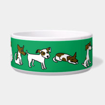 Bol de chien vert avec Jack Russell