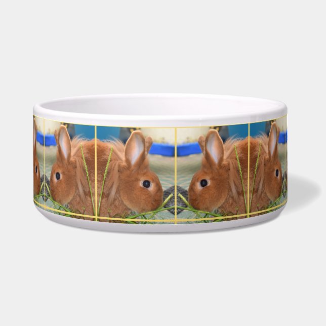 Écuelle Bol de lapin de Cptn Carrotpants (Devant)