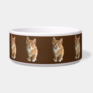 Écuelle bol de nourriture pour chat meow kitten