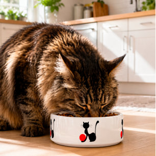 Écuelle Bol pour animal de compagnie Chat Noir