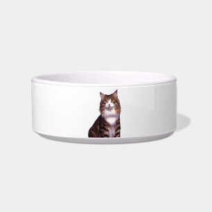 Écuelle Bol pour animal de compagnie de chat