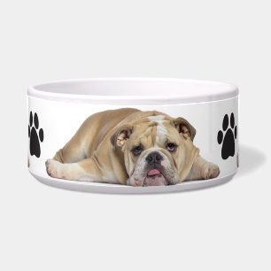 Écuelle Bol pour animaux de compagnie/chien taureau