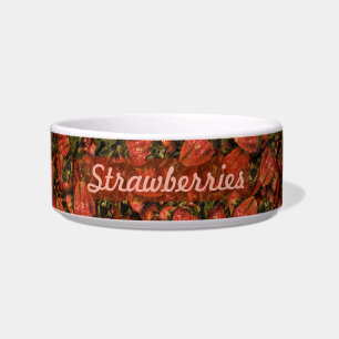 Écuelle Bol pour animaux de compagnie de fraises