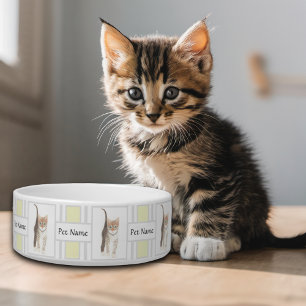 Écuelle Bol pour chat tigré