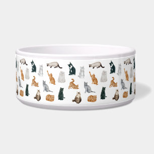 Écuelle Bol pour chats joueurs