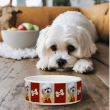 Bol pour chien Malshi avec os marron