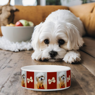 Écuelle Bol pour chien Malshi avec os marron