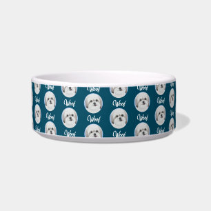 Écuelle Bol pour chien Malshi Turquoise