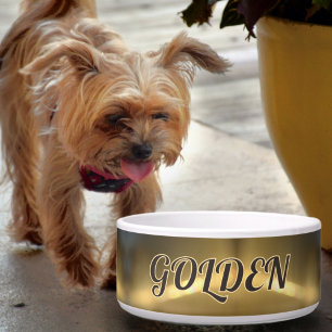 Écuelle Bol Refracté Doré pour Chien