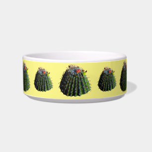 Écuelle bols pour animaux de compagnie en forme de cactus