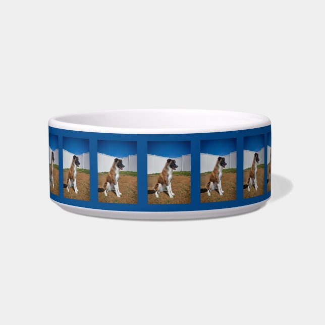 Écuelle Bordure étonnante Collie Pup en céramique Pet Bowl (Devant)