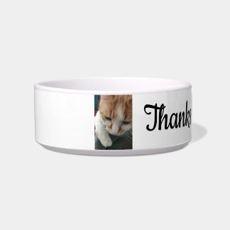 Écuelle Boule de chat