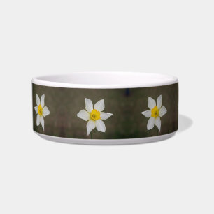 Écuelle Bowl de chat de printemps