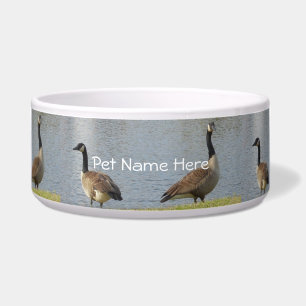 Écuelle Bowl de chiens d'oies