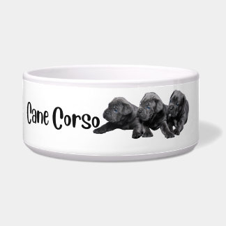 Écuelle Cane Corso - bol de chien par race