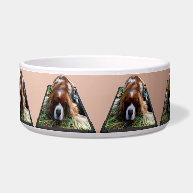 Écuelle Cavalier Spaniel Popout Art,  (Devant)