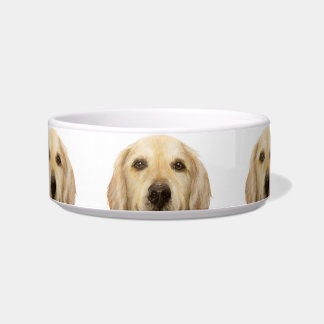 Écuelle Ceramic Pet Bowl/ golden retriever