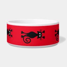 Chat noir animal de compagnie 