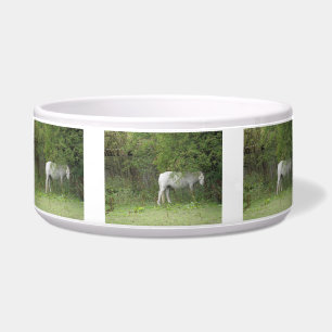 Écuelle Cheval blanc timide poêle