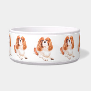 Écuelle Chien Cavalier King Charles Spaniel