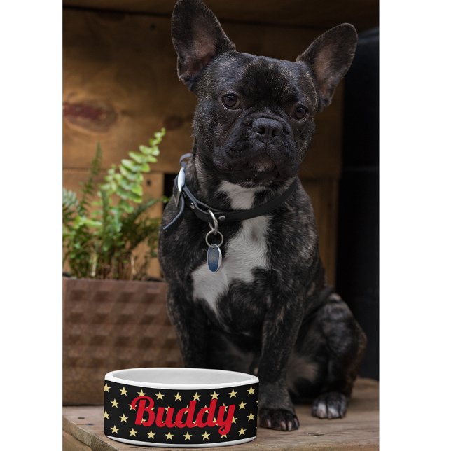 Écuelle Chien Chiot Chat Kitty Nom de l'animal de compagni (Dog Puppy Cat Kitty Pet Name Black Gold Stars Food Bowl)
