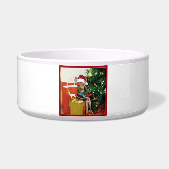 Écuelle Chien de chiwawa de Noël (Devant)