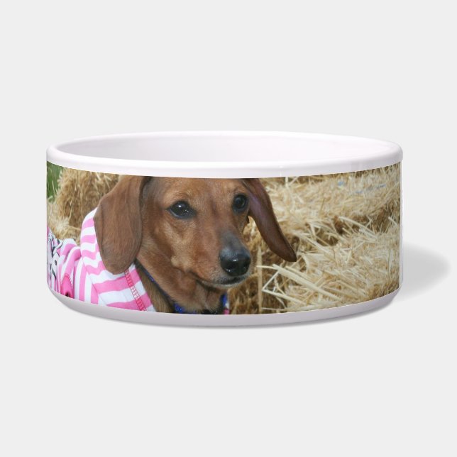 Écuelle Chien de teckel (Devant)