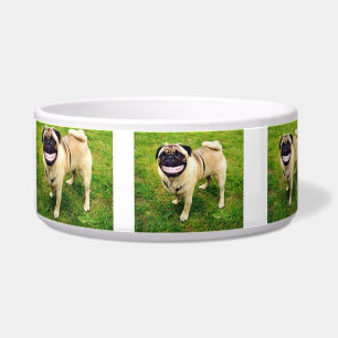 ÉCUELLE CHIEN HEUREUX DE SOURIRE HEUREUX DE MANGER MON BOL